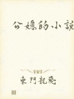 公媳的小说
