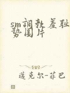 sm调教羞耻姿势图片