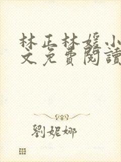 林正林媛小说全文免费阅读封面
