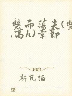 双面荡夫(双性,高h)章节