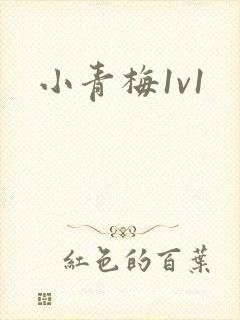 小青梅1v1