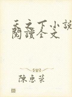 天之下小说在线阅读全文封面