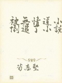 被无情道小师弟倒追了小说完整版封面
