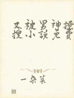 又被男神撩上热搜小说免费阅读全文