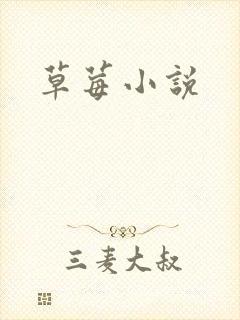 草莓小说封面
