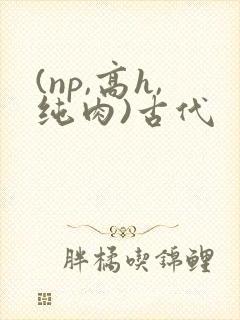 (np,高h,纯肉)古代