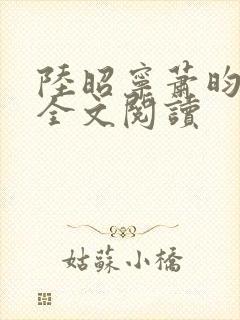 陆昭宁萧昀在线全文阅读