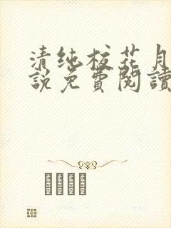 清纯校花月儿小说免费阅读封面