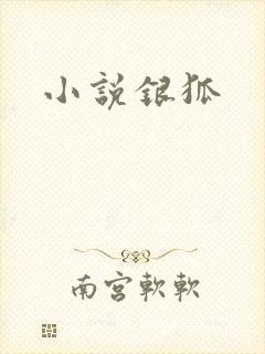 小说银狐封面