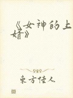 《女神的上门豪婿》