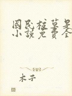 国民校草是女生小说免费全集封面