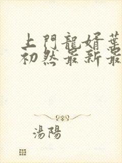 上门龙婿叶辰萧初然最新最快封面