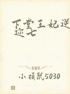 下堂王妃逆袭记 迩七封面