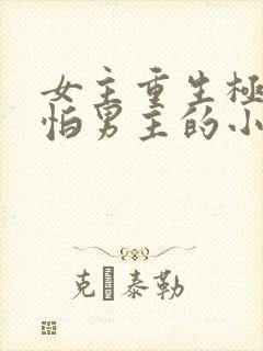 女主重生极度害怕男主的小说封面