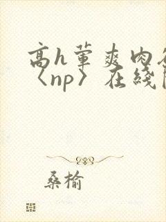 高h荤爽肉欲文〈np〉在线阅读