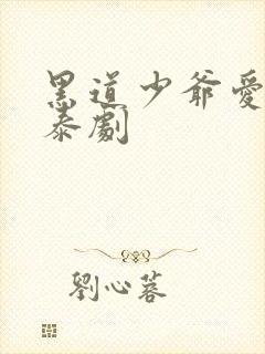 黑道少爷爱上我泰剧