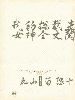 我的总裁老婆是女神全文阅读