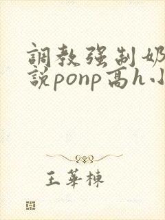 调教强制奶子小说ponp高h小说