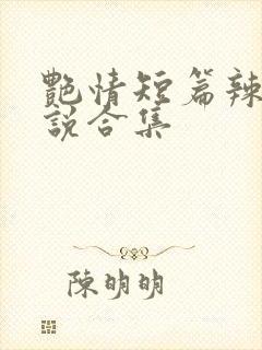 艳情短篇辣文小说合集