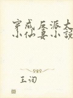 穿成反派大佬的小仙妻小说免费阅读