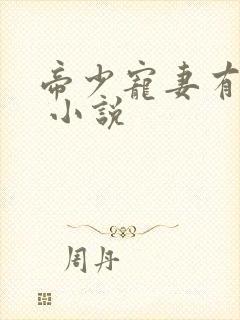帝少宠妻有点甜 小说