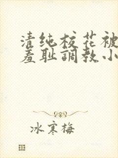 清纯校花被民工羞耻调教小说
