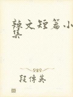 辣文短篇小说合集封面