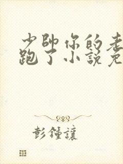 少帅你的老婆又跑了小说免费阅读封面
