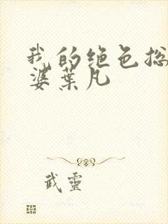 我的绝色总裁老婆叶凡封面