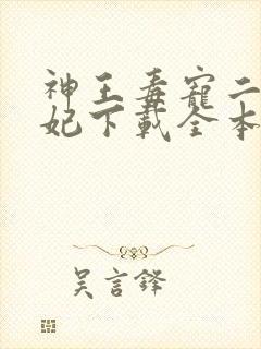 神王毒宠二嫁王妃下载全本txt封面