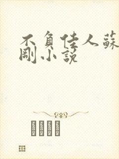 不负佳人苏柔赵刚小说
