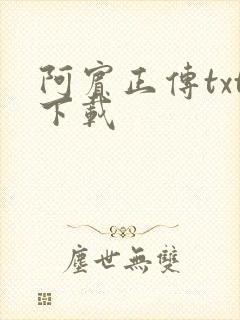 阿宾正传txt下载