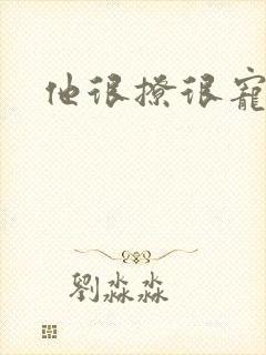 他很撩很宠封面