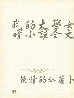 我的大学女友刘晴小说全文阅读