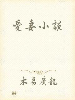 爱妻小说