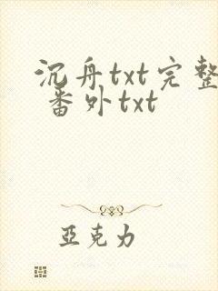 沉舟txt完整 番外txt
