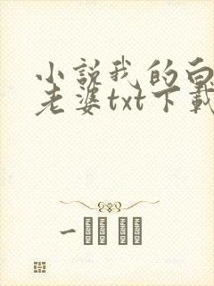 小说我的白富美老婆txt下载