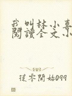 我叫林小喜免费阅读全文小说封面
