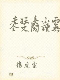 老旺秦小雨小说全文阅读无弹窗