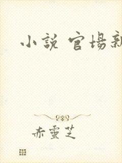 小说 官场新贵