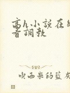 高h小说在线观看调教
