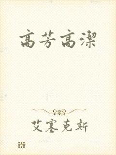 高芳高洁封面