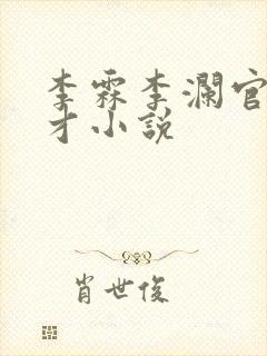 李霖李澜官场奇才小说