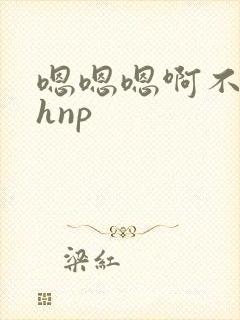 嗯嗯嗯啊不要高hnp封面