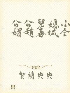 公公儿媳小说苏媚赵春城全文阅读