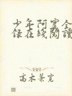 少年阿宾全文目录在线阅读