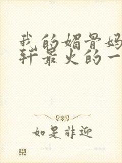 我的媚骨妈妈林轩最火的一句