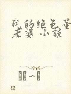 我的绝色董事长老婆 小说