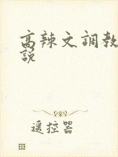 高辣文调教文小说