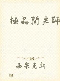 极品开光师封面